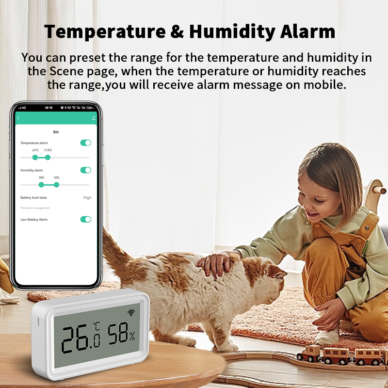 Tuya Zigbee WiFi Thermometer H - Smart Home App review and price