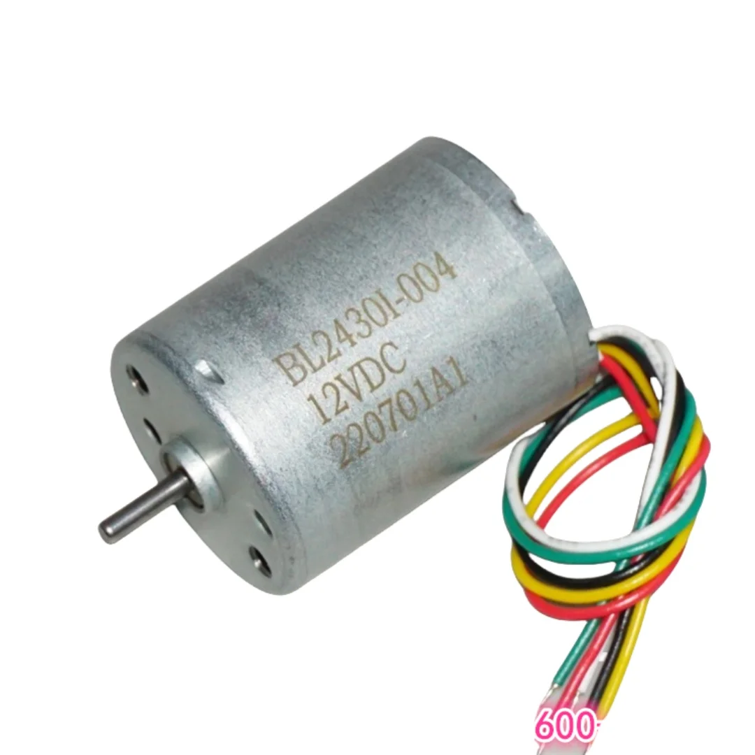 Electric Motor Brushless DC 12 - Smart Home Yam Pounder review and price