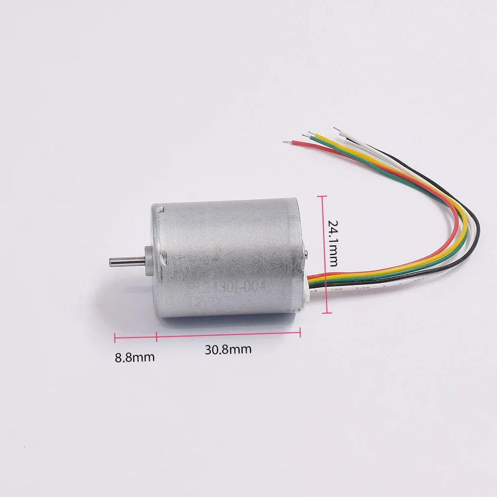 Electric Motor Brushless DC 12 - Smart Home Yam Pounder review and price