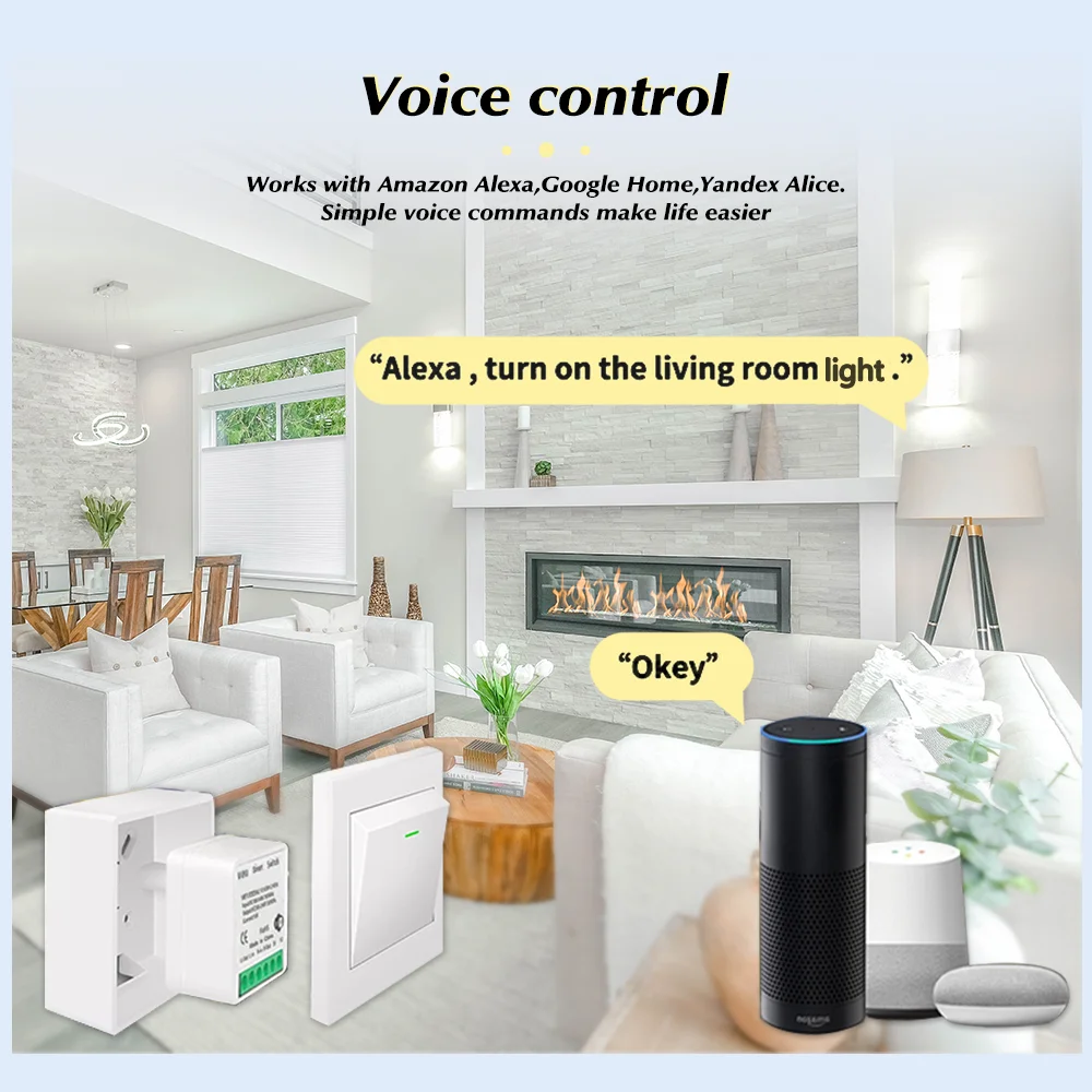 For Tuya Mini Smart WiFi Switc - Smart Home Remote Control review and price