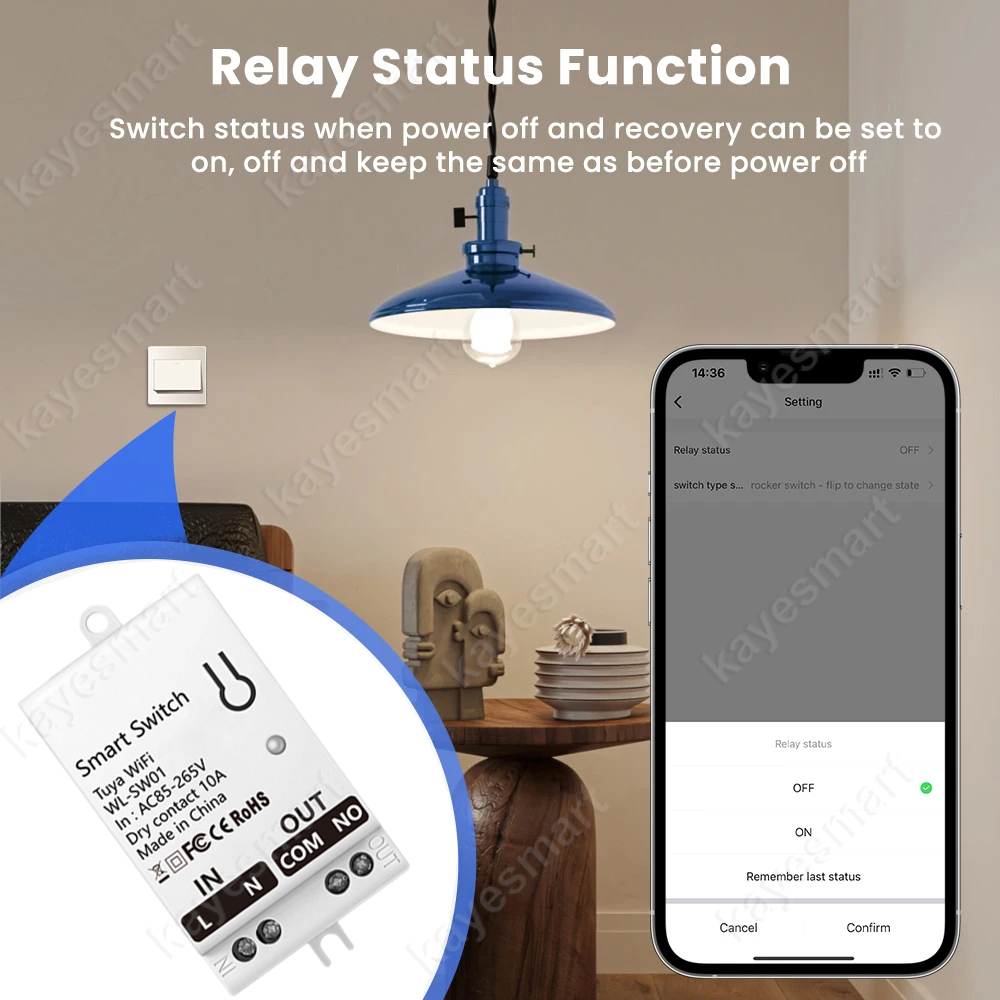 Tuya WiFi Smart Switch Module  - Smart Home Tuya review and price