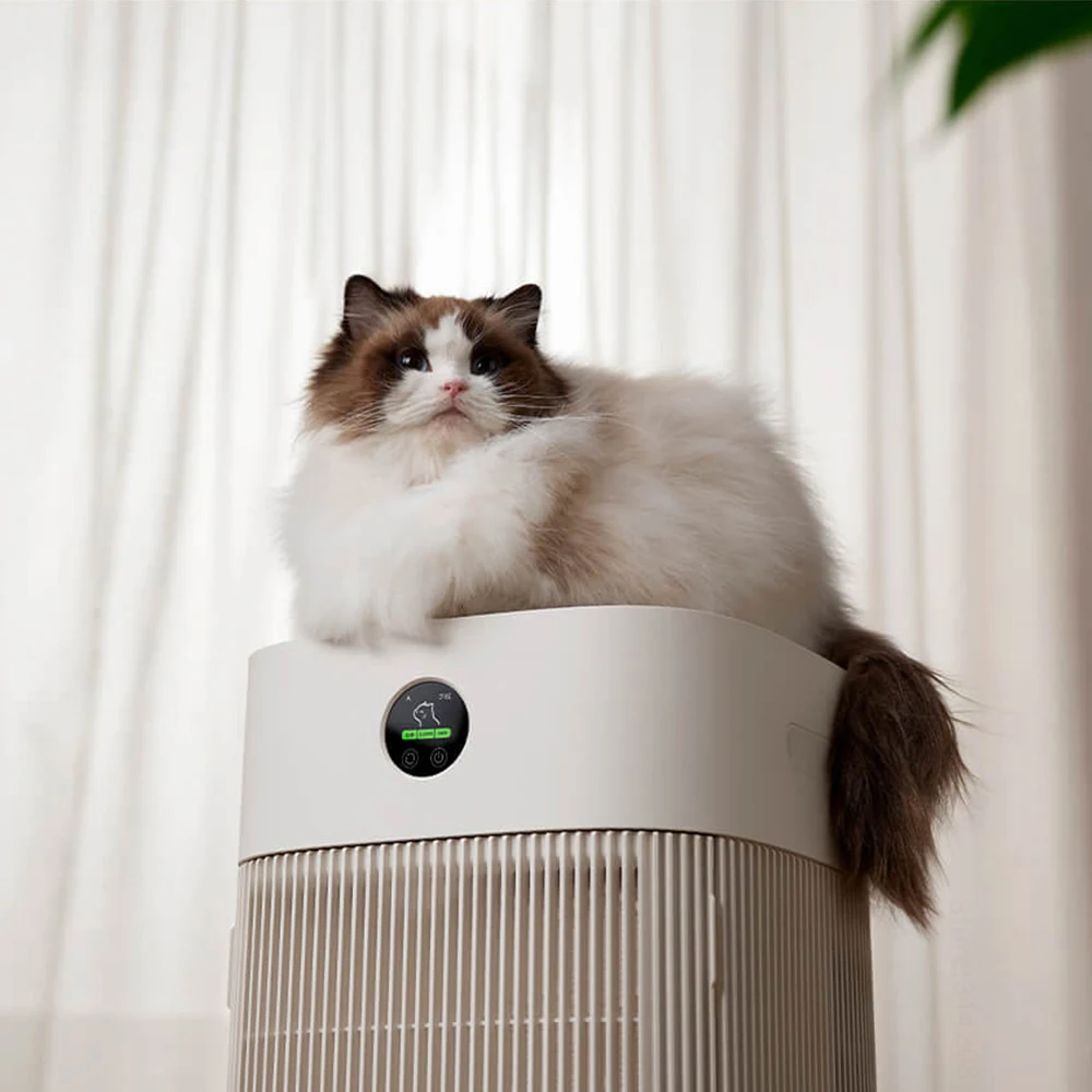Cats Hair Fast Absorb Dogs Hai - Smart Home In Us review and price