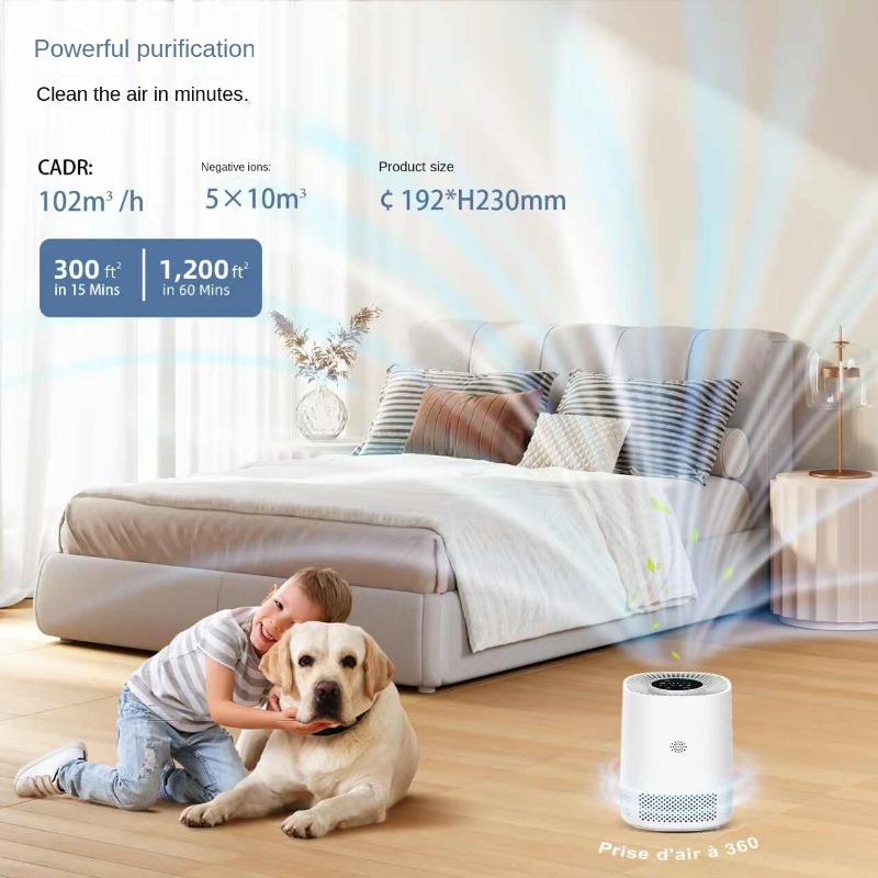 Smart Home Air Purifier with A - Smart Home In Us review and price