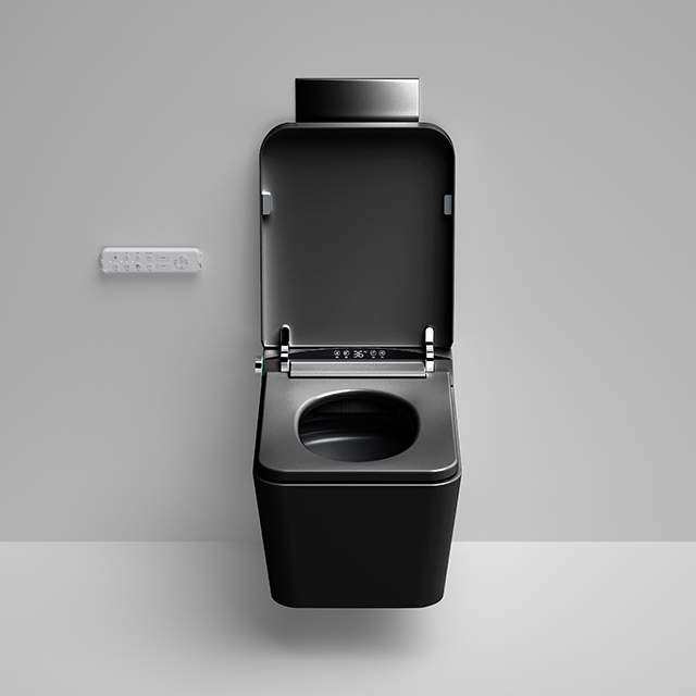 Home Ceramic Bidet Smart Toile - Smart Home Remote Control review and price