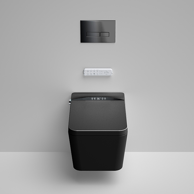 Home Ceramic Bidet Smart Toile - Smart Home Remote Control review and price