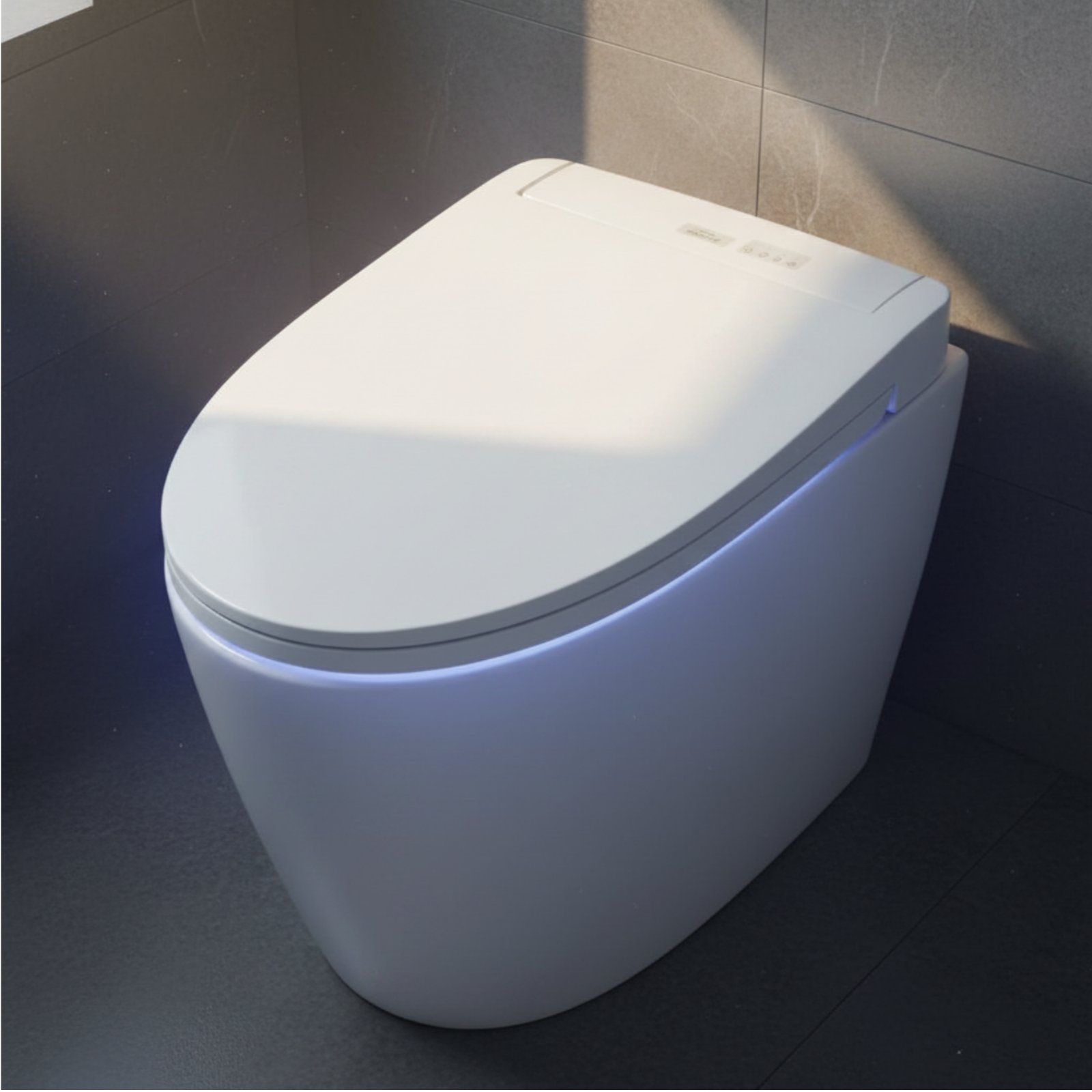 Smart Bidet Toilet Multi-Funct - Smart Night Light review and price