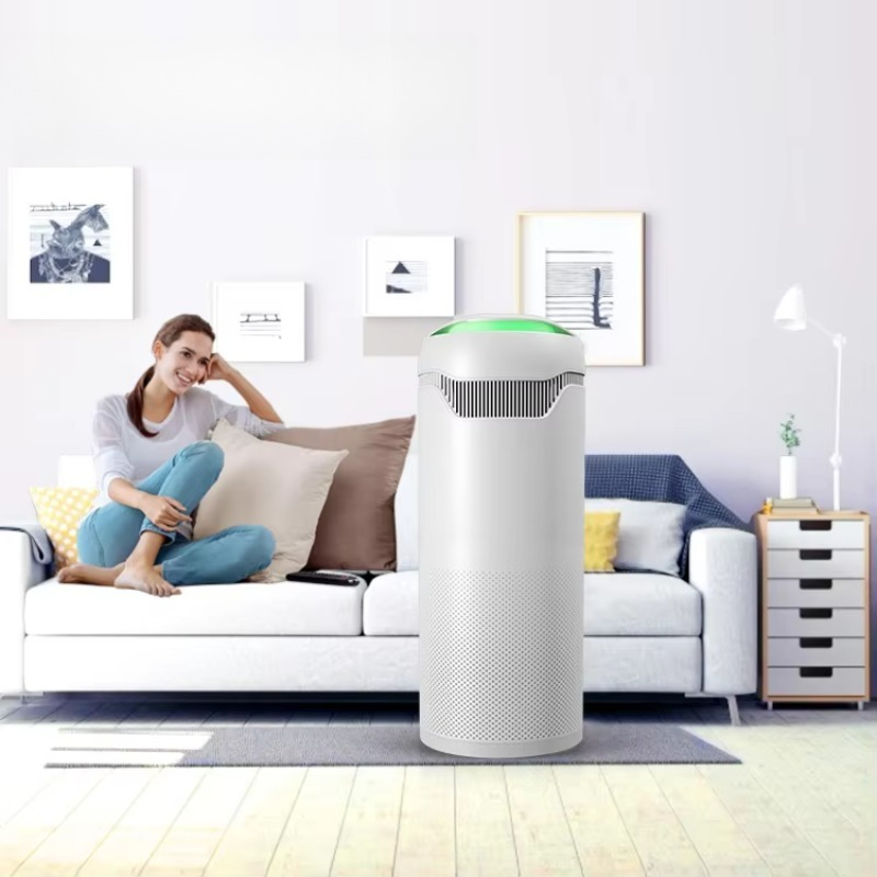 Smart Home Air Purifier with H - Smart Home In Us review and price