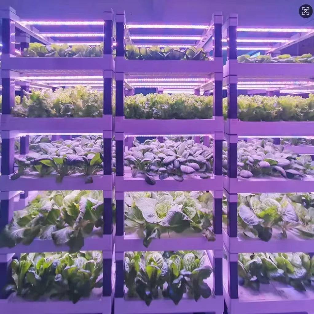 Hydroponic Grow System Greenho - Smart Home Devices review and price